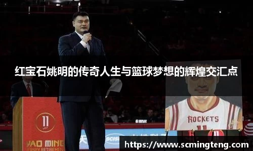 完美体育登录入口