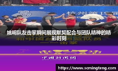 365完美体育