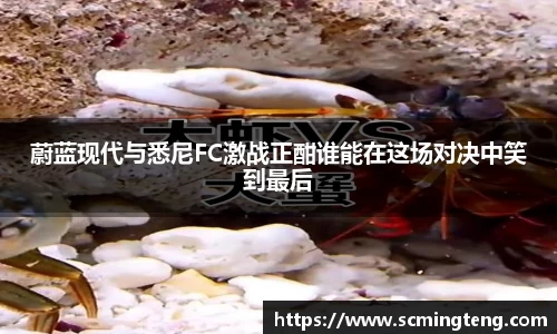 完美体育