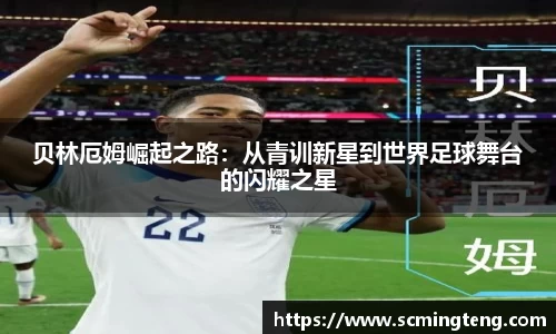 完美体育