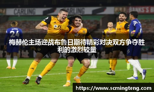 完美体育登录入口