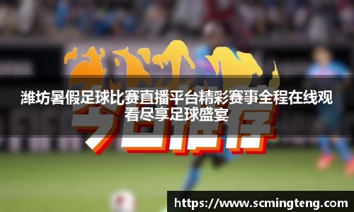 完美体育登录入口