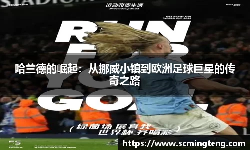 完美体育登录入口